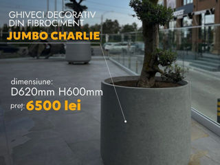 Ghiveci jumbo charlie / jardinieră / горшок / plante mari foto 5