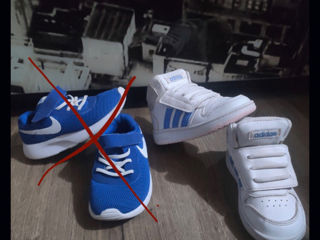 Adidas24p