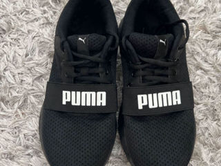 Puma