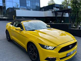 Ford Mustang foto 11