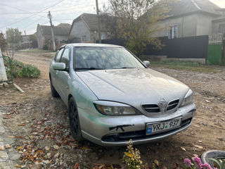 Nissan Primera foto 6