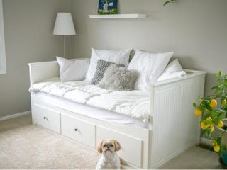 Кровати, диваны, столы, стулья и кресла  и матрасы Икеа  Ikea Доставка! foto 1