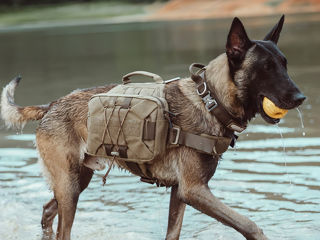 Tactical Dog Backpack
