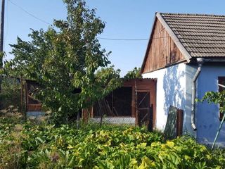 Продам дом в Григориополе / Se vinde casă în orașul Grigoriopol foto 7