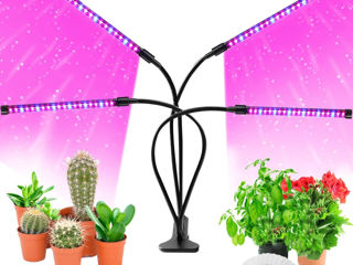 Светодиодные светильники для выращивания комнатных растений