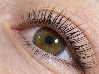 Laminare Gene+Vopsire+Vitamine Lash Botox la doar 400 lei. foto 1