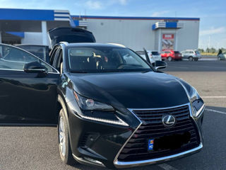 Lexus NX Series