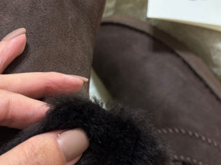 Продам новые женские Ugg . 100 % оригинал foto 4