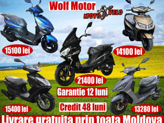 Wolf Motors Model Nou 2024 foto 2
