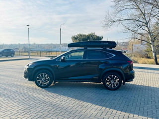 Lexus NX Series foto 4