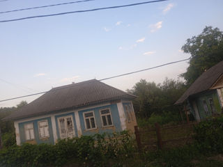 Продам дом в селе Паскауцы