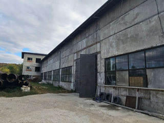 Depozit pentru producere (Chișinău, str. Industrială, 40 ari, 2000m2) foto 2