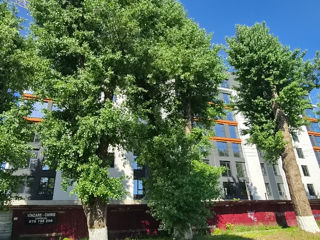 1-rm apt., 44 м², 1/8 fl.