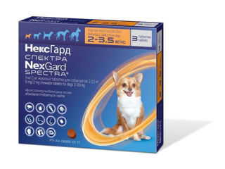 Nexgard spectra  2-3.5 kg