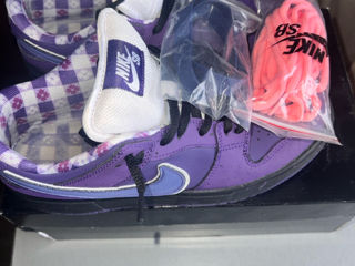 Nike SB dunk purple lobster foto 5