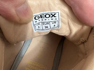 Geox foto 5