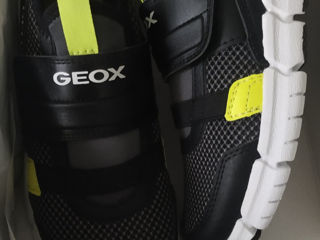 Geox 31 foto 1