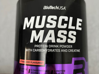 Muscle Mass