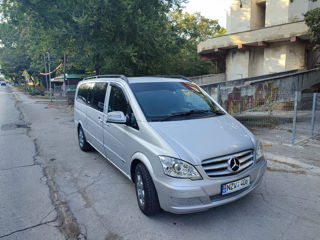 Mercedes Viano