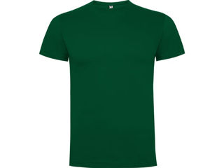 Tricou pentru bărbați Roly Dogo Premium 165 Bottle Green XL foto 1