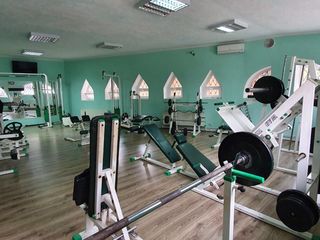 Sala de forta si fitness Botanica Veche 5! foto 4