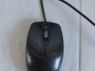 Mouse Genius