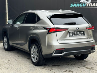 Lexus NX Series foto 6