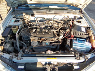 Nissan Primera foto 5