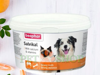 Salvikal - кормовая добавка для кошек и собак