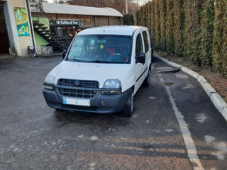 Fiat Doblo Cargo foto 2