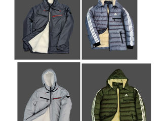 Nike Adidas Prada The North Face