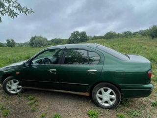 Nissan Primera foto 2