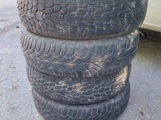 155/65 R14 фото 1