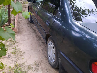 Nissan Primera foto 4