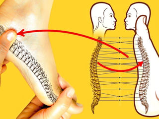 Acupunctura. Placa Sadhu. Pas 7.5mm. foto 9