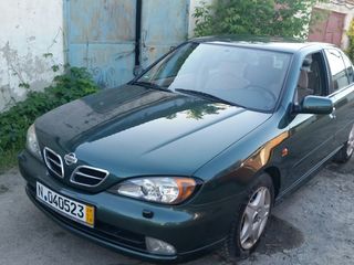 Nissan Primera foto 1