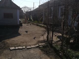 продам дом в Дондюшанах foto 3