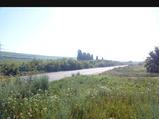 Vind  3 hectare la traseu Chisinau -Straseni foto 4