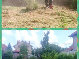 Уборка участка Curățîm terenuri grădini foto 2