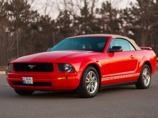 Ford Mustang foto 1