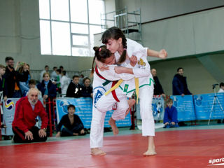 JiuJitsu foto 9