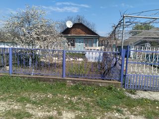 Vând casa în satul Pocimbauti, raionul Râşcani. foto 1
