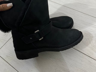 Ugg новые foto 2