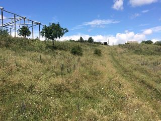 Se vinde teren agricol în s. Rămăzani foto 2