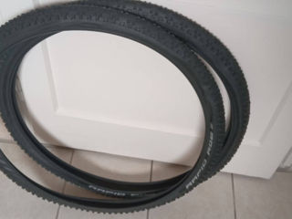 Schwalbe Rapid Rob 29x2.1 800 lei