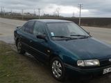 Nissan Primera foto 1