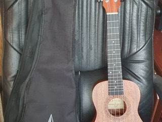 Ukulele Arrow MH-10 Natural Concert foto 0