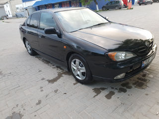 Nissan Primera foto 2