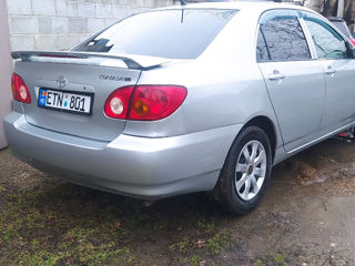 Toyota Corolla foto 3