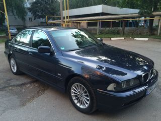 BMW 5 Series foto 3